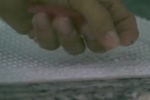 pumped up lad engulfing A large cock Like A Skillful cocksmoker