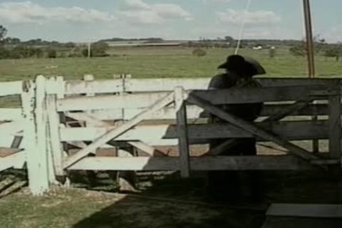 homosexual Cowboys In Brokeback slam And engulf