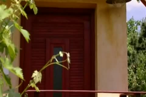 Amis Straights Aimant Les Queues