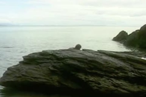 The Sea God Poseidon Takes A paramour