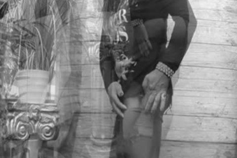 Nylons & Seamless hose