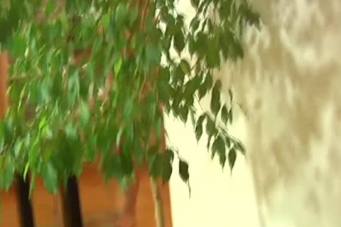 Real young Euro Cocksucking For supplementary cash