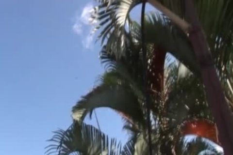 Latin non-professional sperm Faced