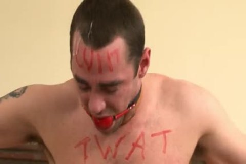 The tasty Boiler lad