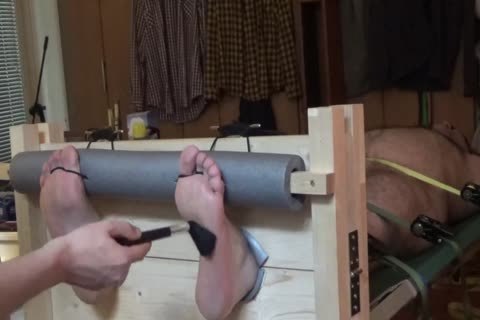 nude Bear Tickled In Stocks And On A Rack