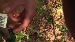 Tatted-up guy pulls down his jeans and pokes outdoors