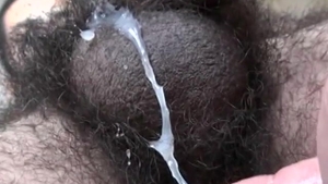 Vulcan Amateurs 77