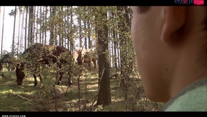 Unleashing the Wild Side: A Deep Dive into Forbidden Love